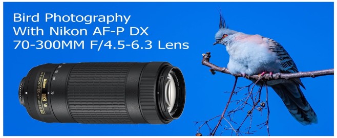 Specifications